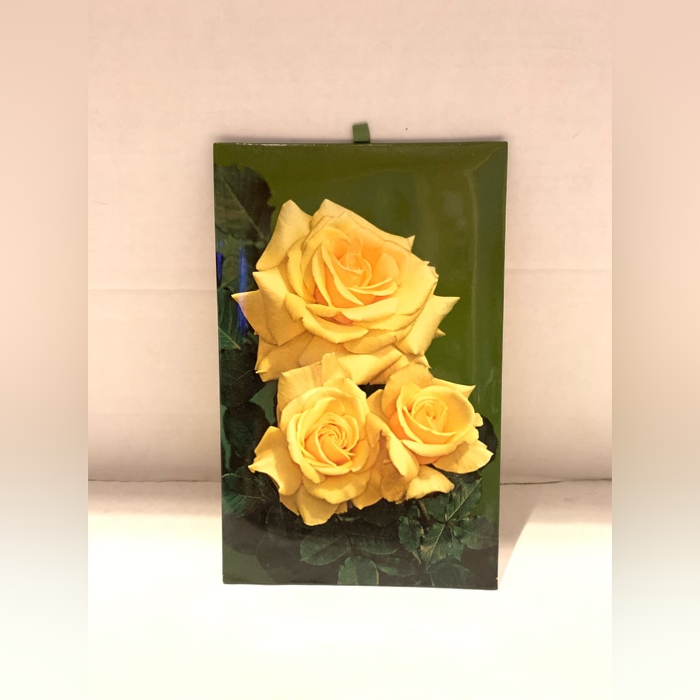 Vintage Mcm Italian Puff Artwork-Photograghy by C. LuchsingerDiamnd Jubilee 1977